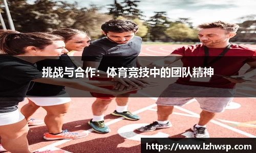 77体育官网