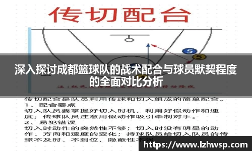 深入探讨成都篮球队的战术配合与球员默契程度的全面对比分析
